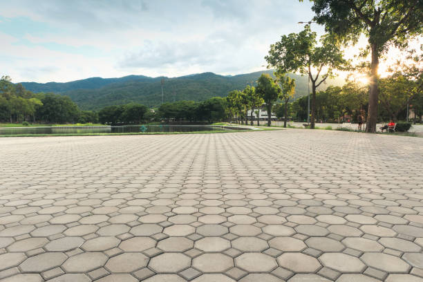 Best Local Driveway Pavers  in Rupert, WV